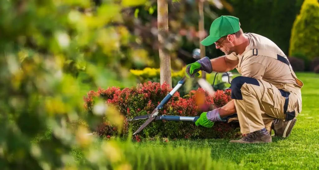 About us 1 landscape